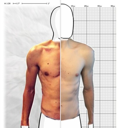 Torso Comparison