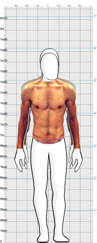 Full Size Comparison