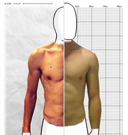 Torso Comparison