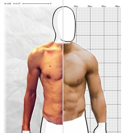 Torso Comparison