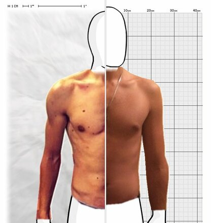 Torso Comparison