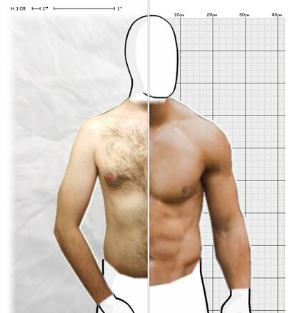 Torso Comparison