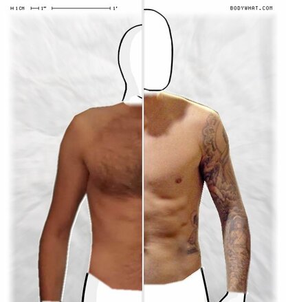 Torso Comparison