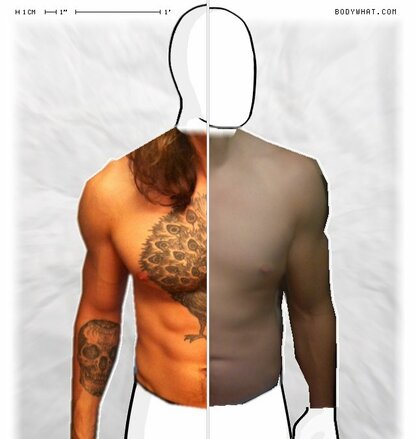 Torso Comparison