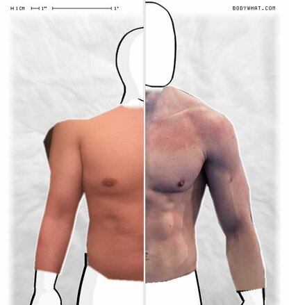 Torso Comparison