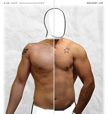 Torso Comparison