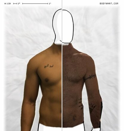 Torso Comparison