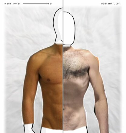 Torso Comparison