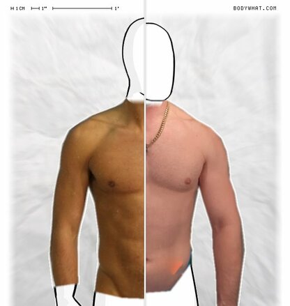 Torso Comparison
