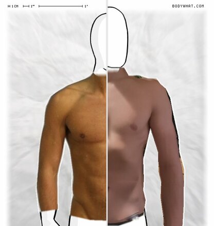 Torso Comparison