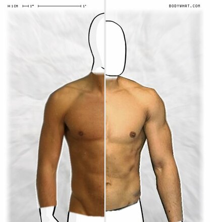 Torso Comparison