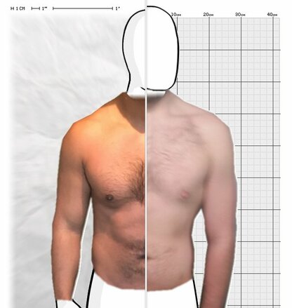 Torso Comparison