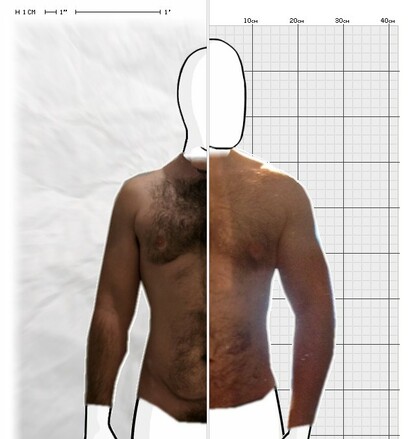 Torso Comparison