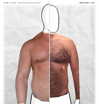 Torso Comparison