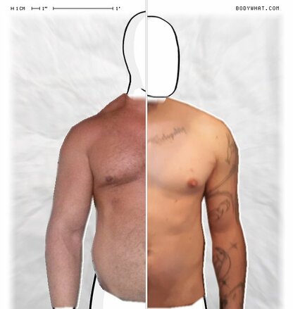 Torso Comparison