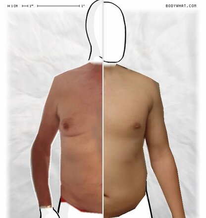 Torso Comparison