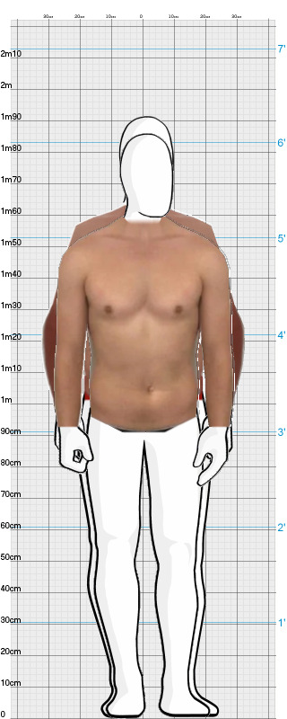 Full Size Comparison