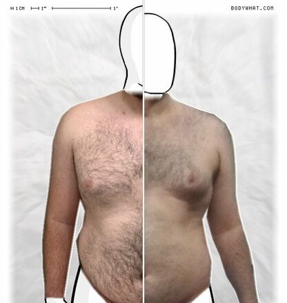 Torso Comparison