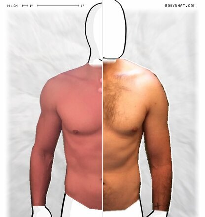 Torso Comparison