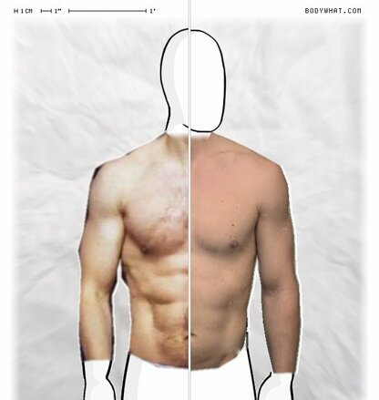 Torso Comparison