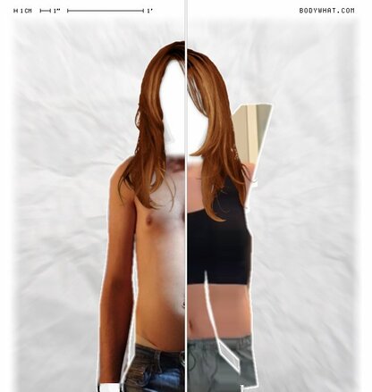 Torso Comparison