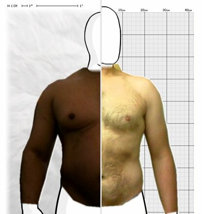 Torso Comparison