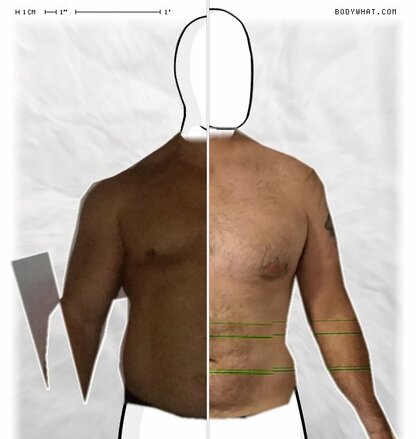 Torso Comparison