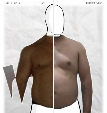 Torso Comparison