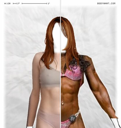 Torso Comparison