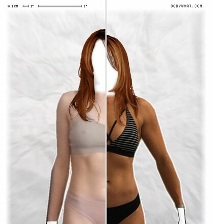 Torso Comparison