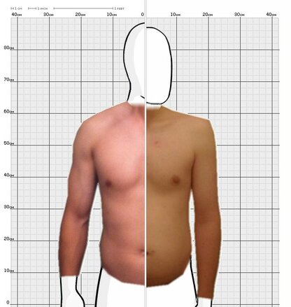 Torso Comparison