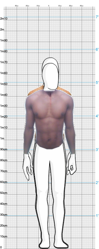 Full Size Comparison