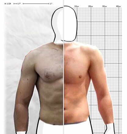 Torso Comparison