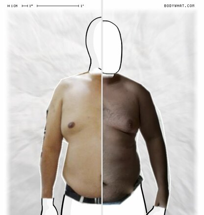 Torso Comparison