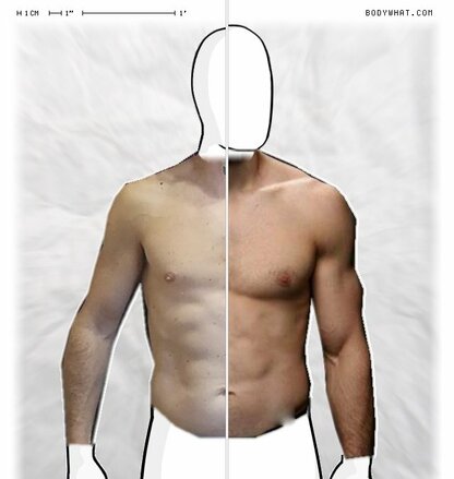 Torso Comparison