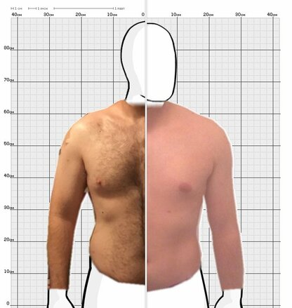 Torso Comparison