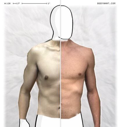 Torso Comparison