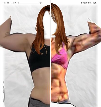 Torso Comparison