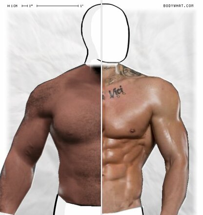 Torso Comparison