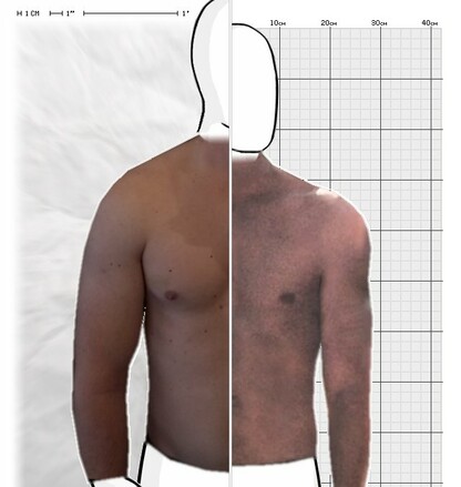 Torso Comparison