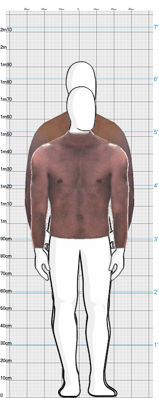 Full Size Comparison