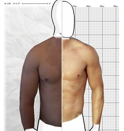 Torso Comparison