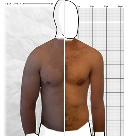 Torso Comparison