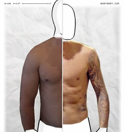 Torso Comparison