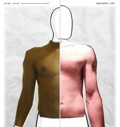 Torso Comparison