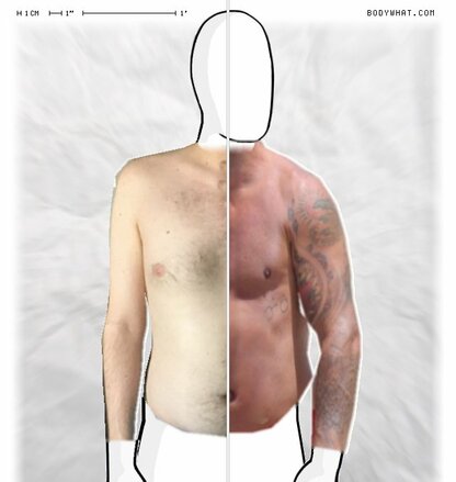 Torso Comparison