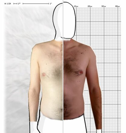 Torso Comparison