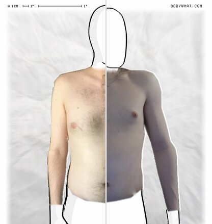 Torso Comparison