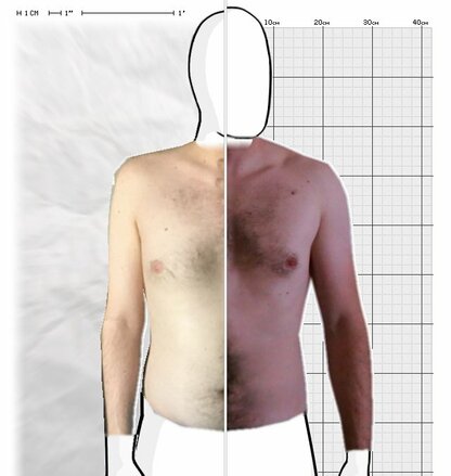 Torso Comparison