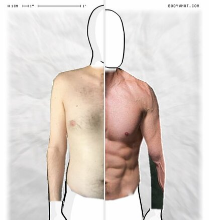 Torso Comparison